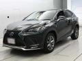 2020 Lexus NX