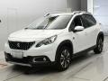 2019 Peugeot 2008