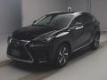 2019 Lexus NX