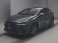 2024 Lexus NX