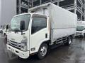 2022 Isuzu Elf Truck