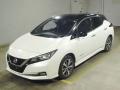 2019 Nissan Leaf