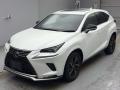 2021 Lexus NX