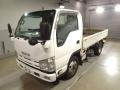 2009 Isuzu Elf Truck