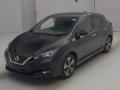 2017 Nissan Leaf