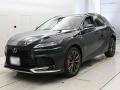 2025 Lexus RX