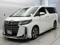 2019 Toyota Alphard