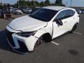 2025 Lexus NX