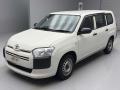 2020 Toyota Probox
