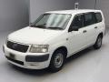 2010 Toyota Succeed Van