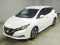 2019 Nissan Leaf