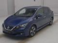 2019 Nissan Leaf