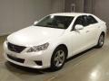 2009 Toyota Mark X