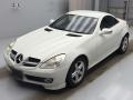 2010 Mercedes Benz SLK Class