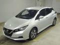 2019 Nissan Leaf