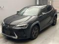 2019 Lexus UX