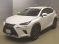 2020 Lexus NX