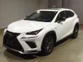 2019 Lexus NX