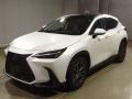 2025 Lexus NX