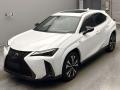 2021 Lexus UX