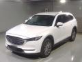 2019 Mazda CX-8