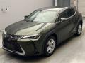 2021 Lexus UX