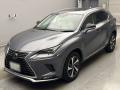 2021 Lexus NX