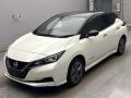 2021 Nissan Leaf
