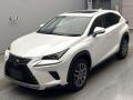 2021 Lexus NX