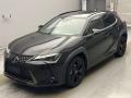 2021 Lexus UX