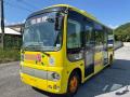 2009 Hino Poncho