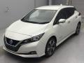 2020 Nissan Leaf