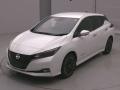 2022 Nissan Leaf