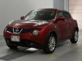 2010 Nissan JUKE