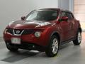2012 Nissan JUKE
