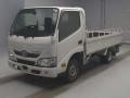 2019 Toyota Toyoace Truck