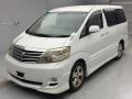 2008 Toyota Alphard G