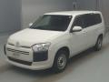 2020 Toyota Probox