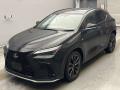 2021 Lexus NX