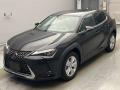 2024 Lexus UX