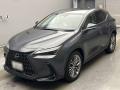 2023 Lexus NX