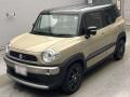 2019 Suzuki XBEE