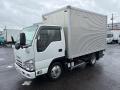 2018 Isuzu Elf Truck