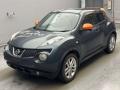 2011 Nissan JUKE