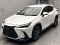2022 Lexus NX