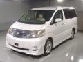 2007 Toyota Alphard G