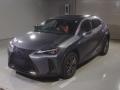 2020 Lexus UX