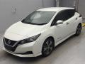 2019 Nissan Leaf