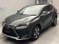2021 Lexus NX