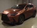 2024 Lexus NX